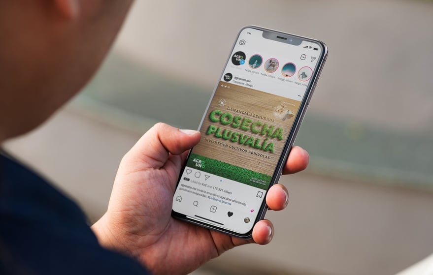 aplicación de campaña creativa