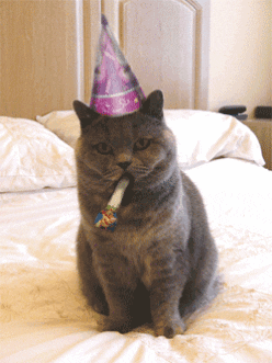 birthday