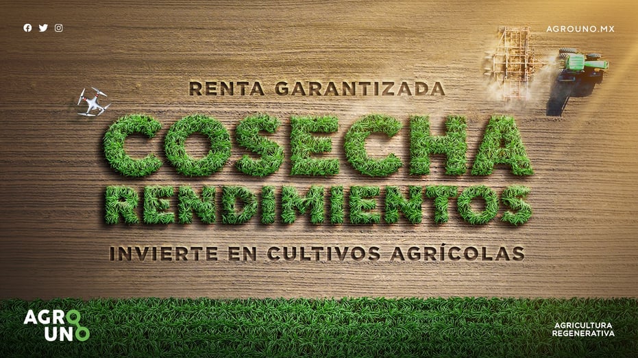 campaña creativa invierte en cultivos agricolas