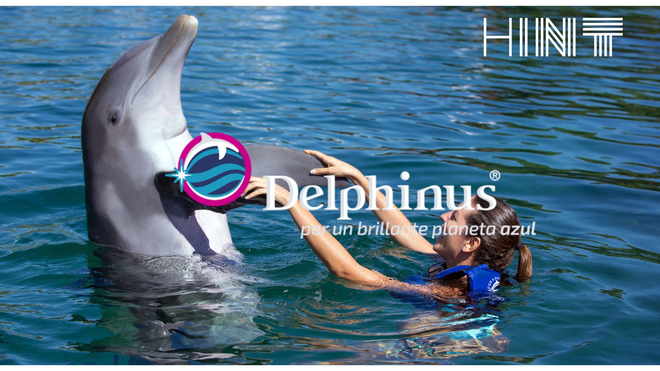 Cómo Delphinus multiplicó por 2.5 su tráfico web y creció 92% en leads