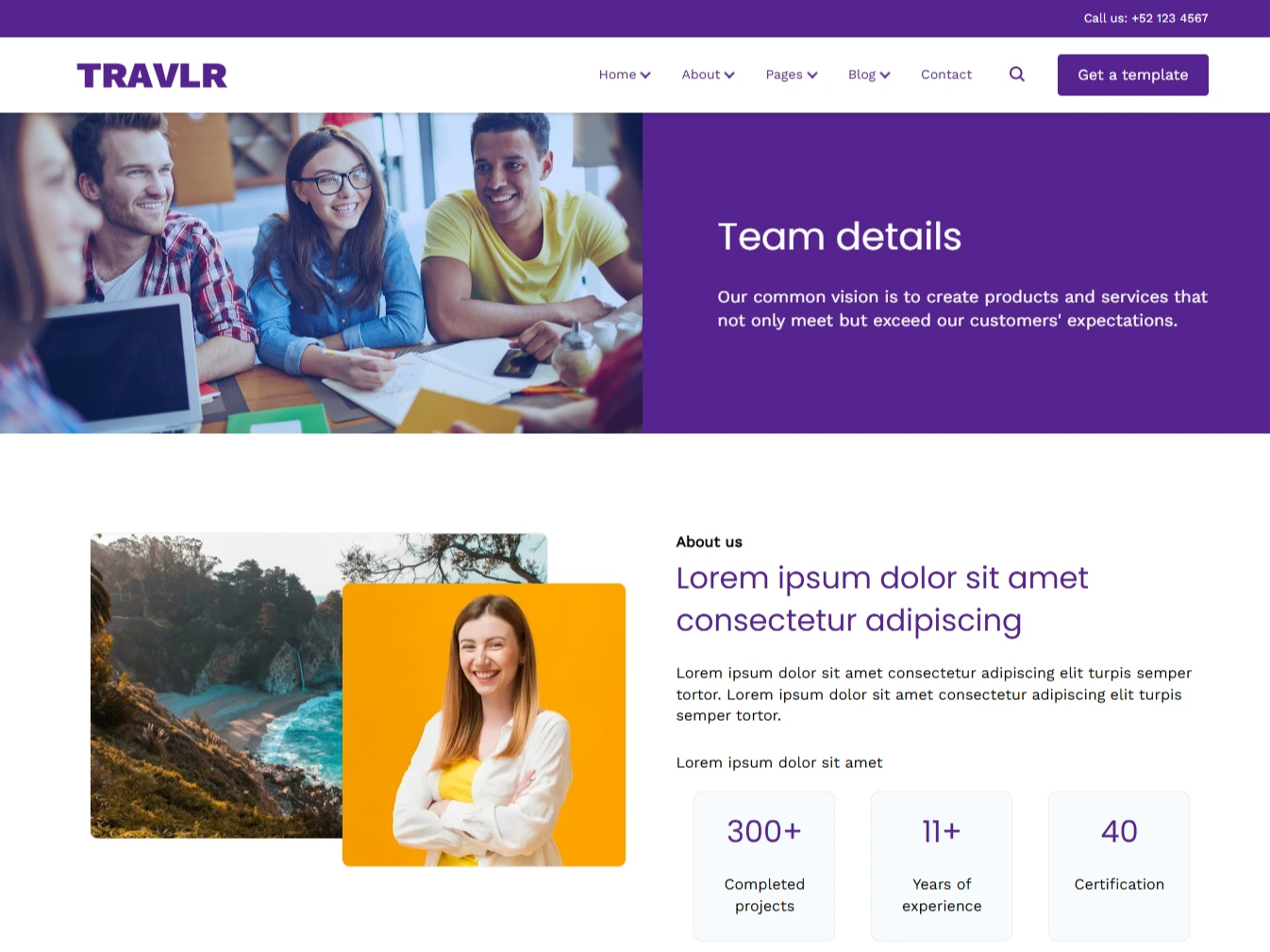 Lifetime Free Updates